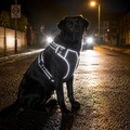GripPro™ No-Pull Dog Harness